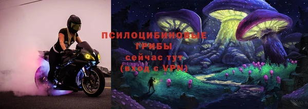 прущие крисы Балабаново