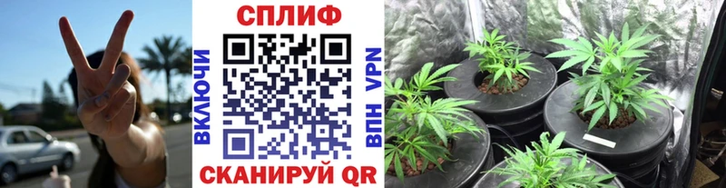 omg вход  Белоярский  МАРИХУАНА план 